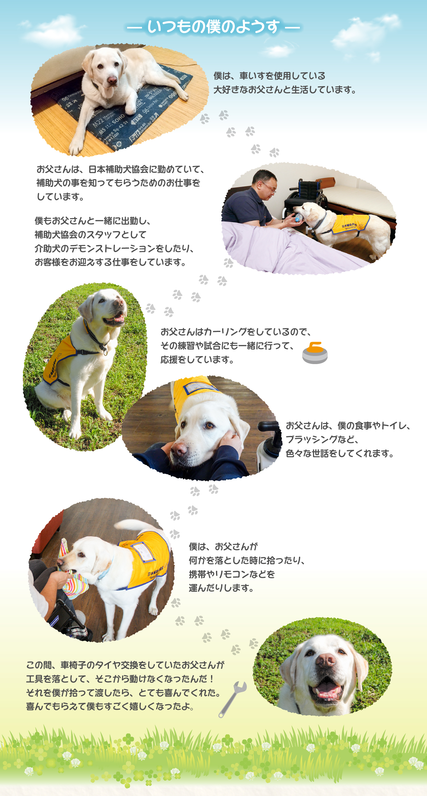 いつもの僕のようす