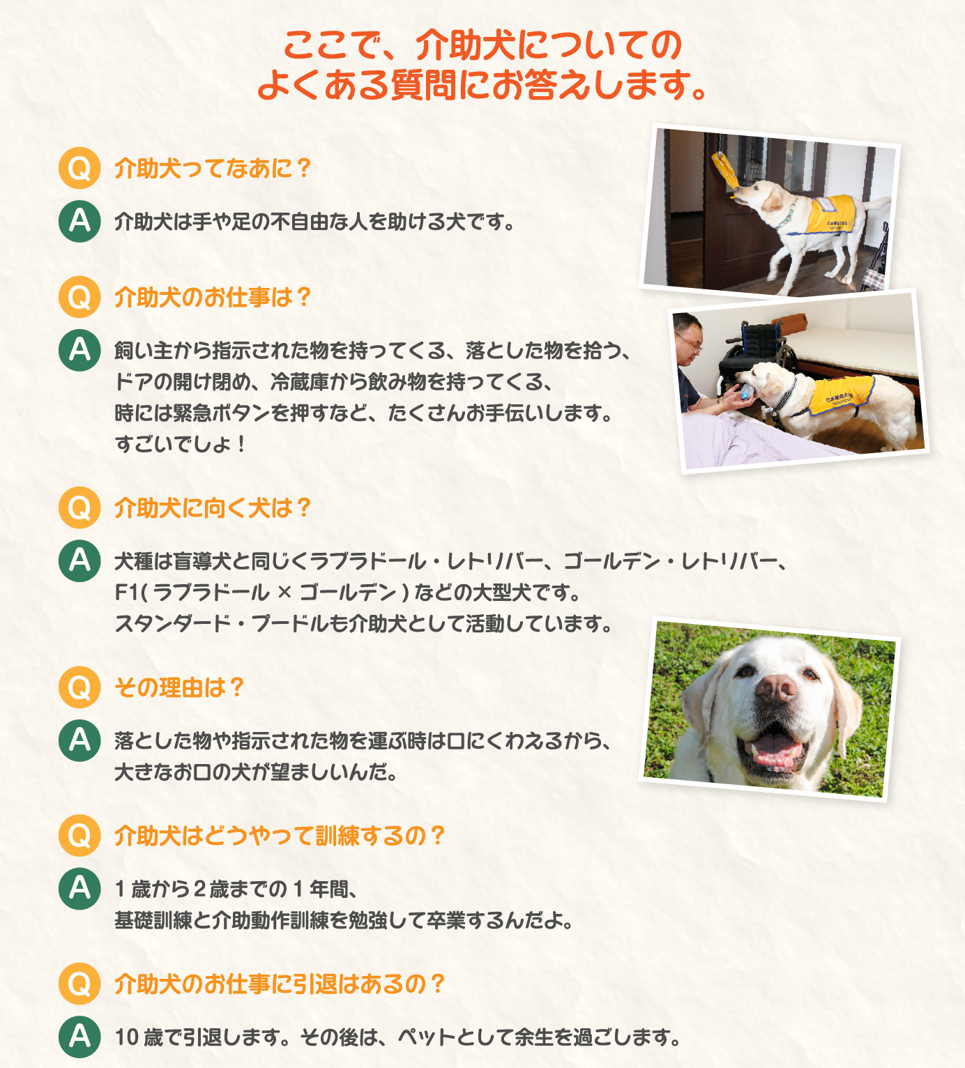 介助犬についてのよくある質問にお答えします。
