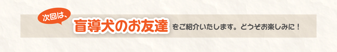 次回は、盲導犬のお友達をご紹介いたします。どうぞお楽しみに！