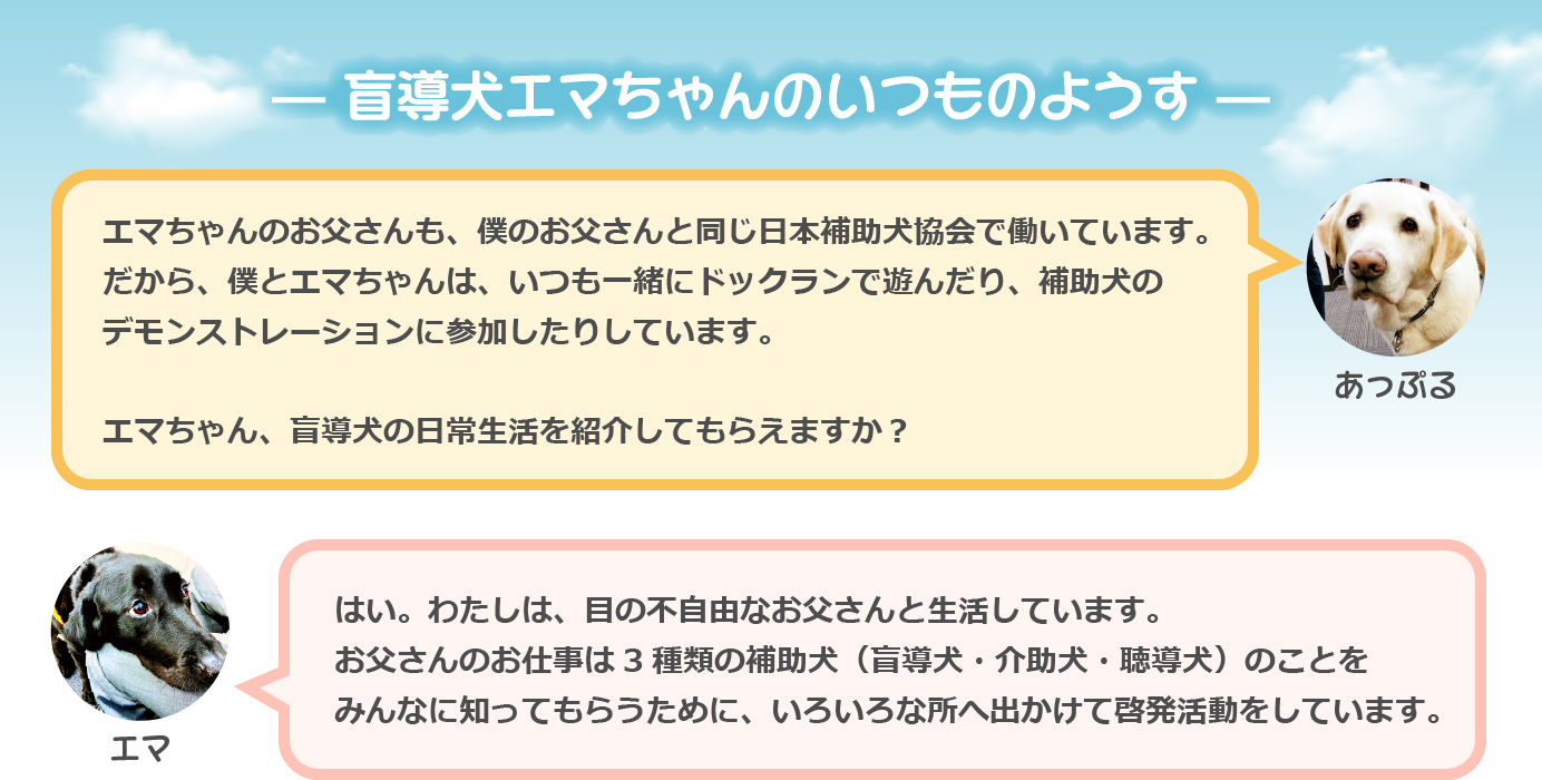 盲導犬エマちゃんのいつものようす