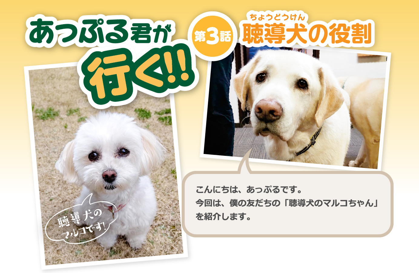 あっぷる君が行く！【第3話】聴導犬の役割