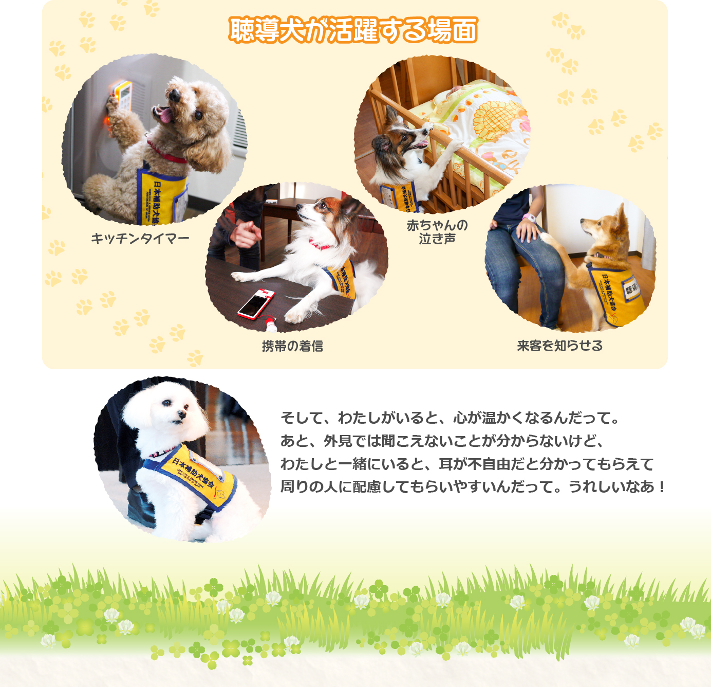 聴導犬が活躍する場面