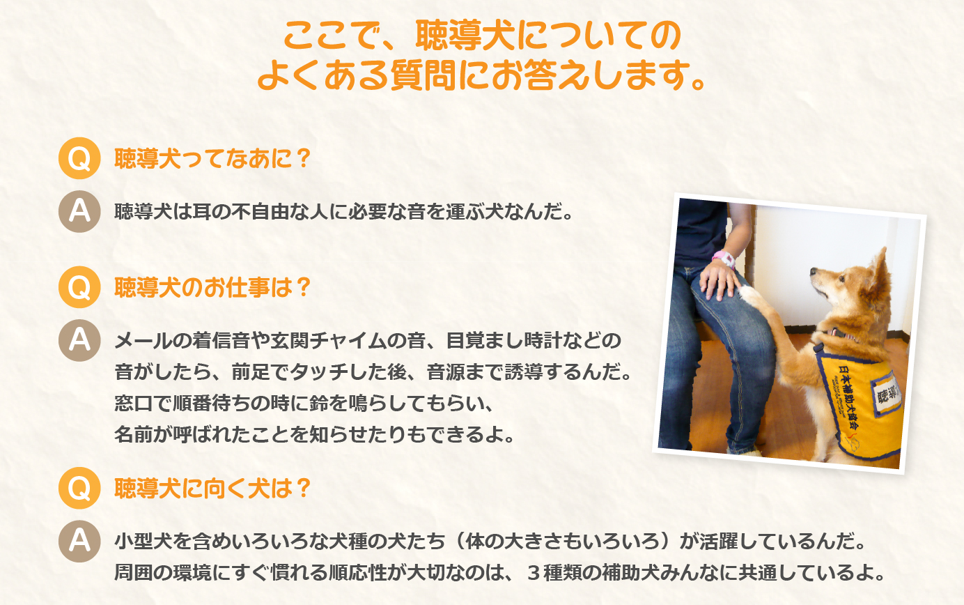 聴導犬についてのよくある質問にお答えします。