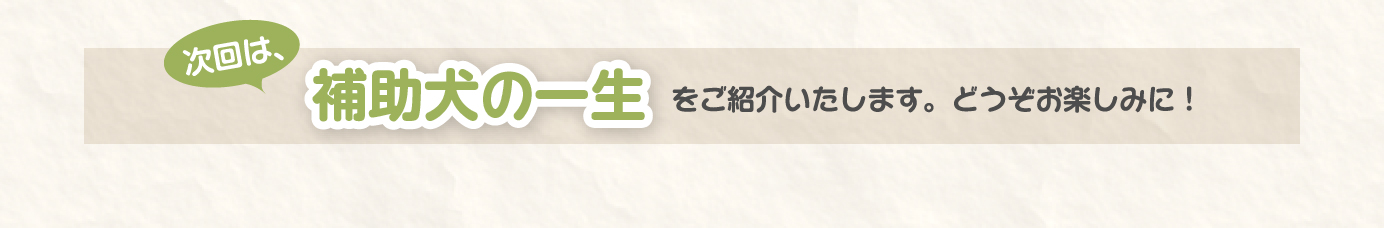次回は、補助犬のお友達をご紹介いたします。どうぞお楽しみに！