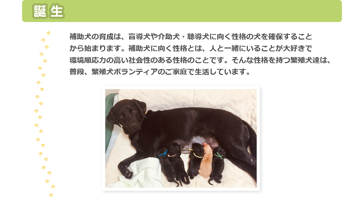 誕生