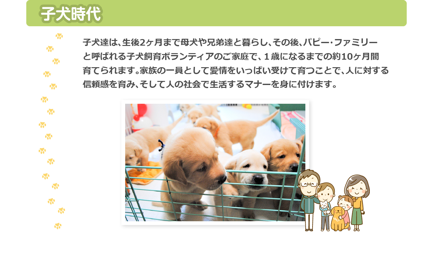 子犬時代