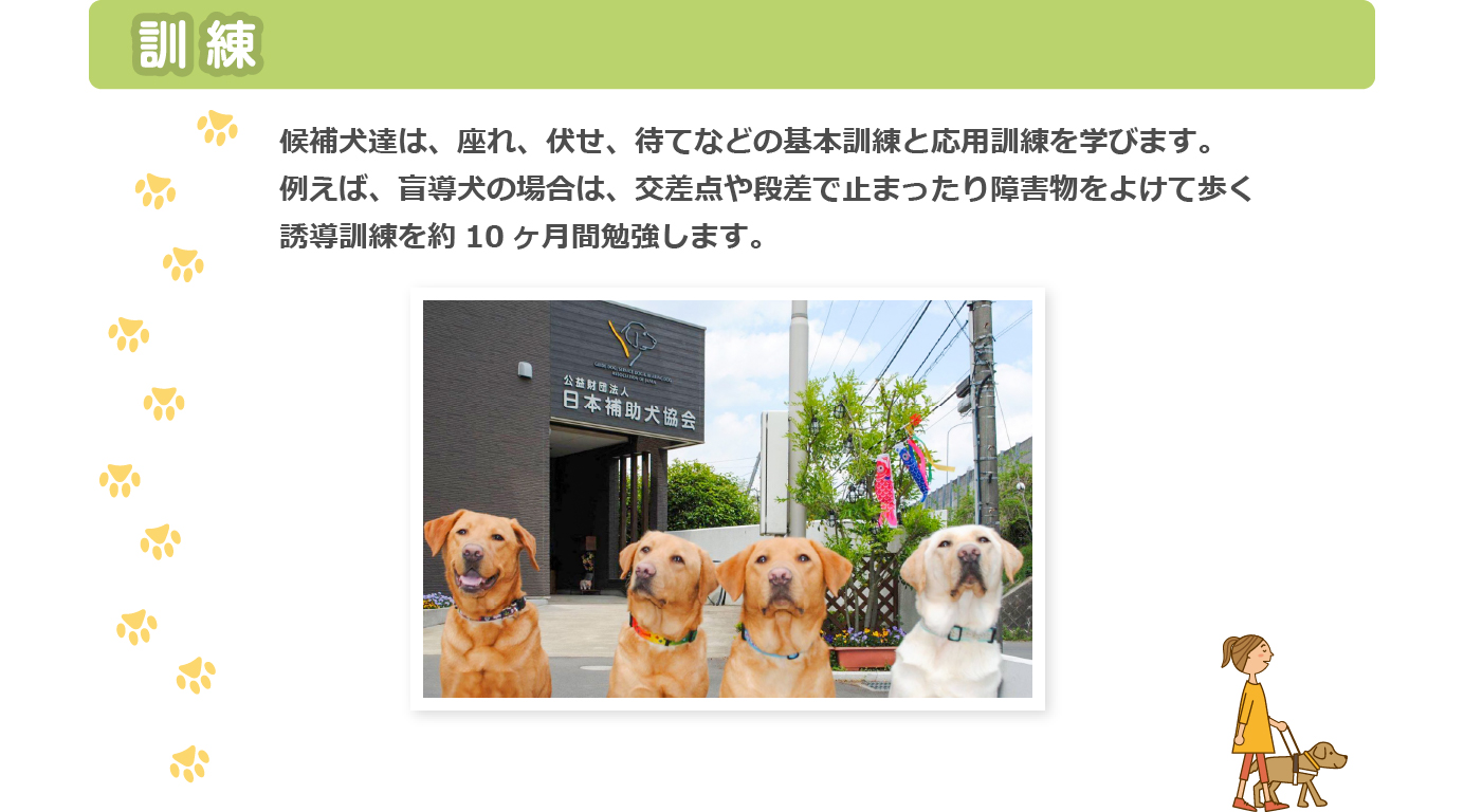 訓練