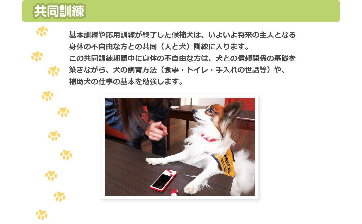 共同訓練