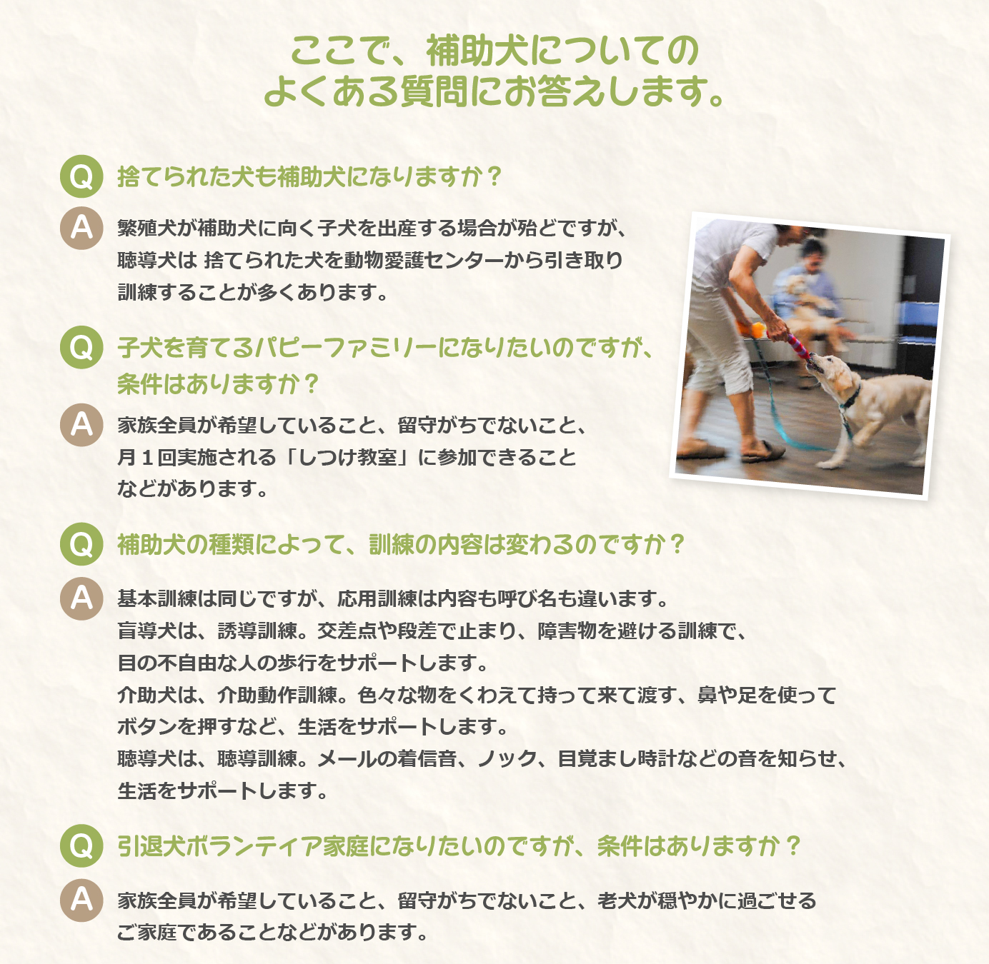 補助犬についてのよくある質問にお答えします。