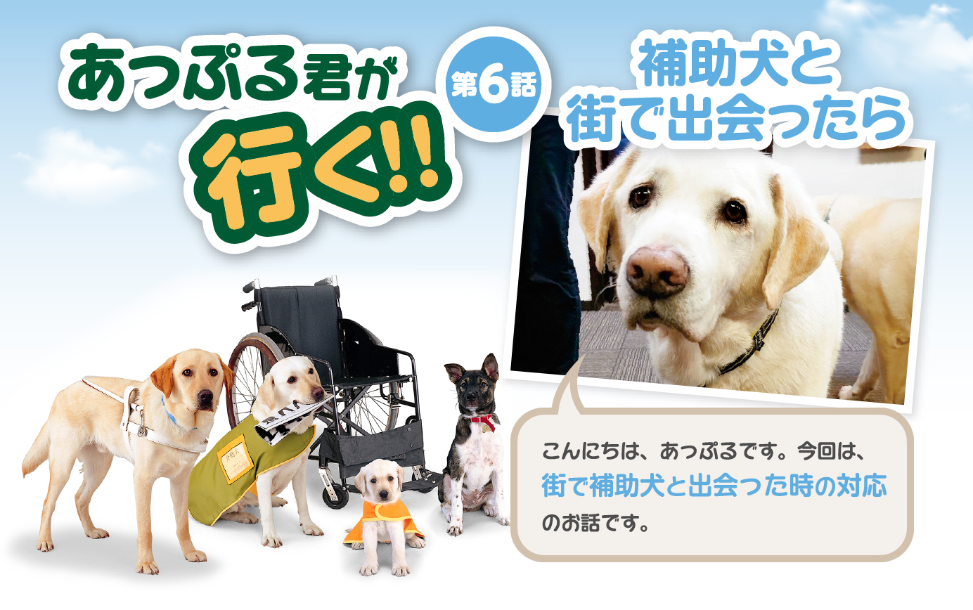 あっぷる君が行く！【第6話】補助犬と街で出会ったら