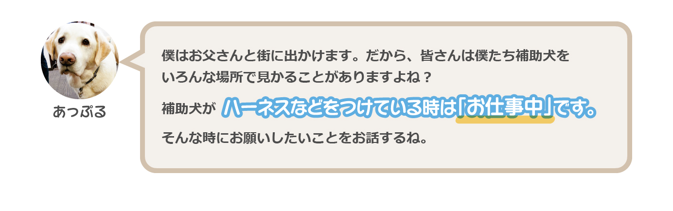 ハーネスなどをつけている時は「お仕事中」です。