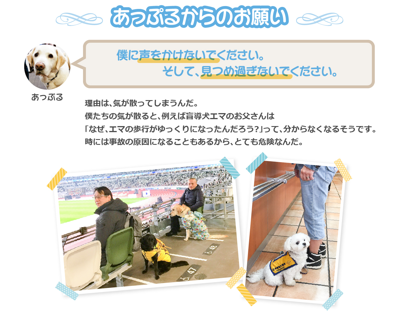 「あっぷるからのお願い」僕に声をかけないでください。そして、見つめ過ぎないでください。