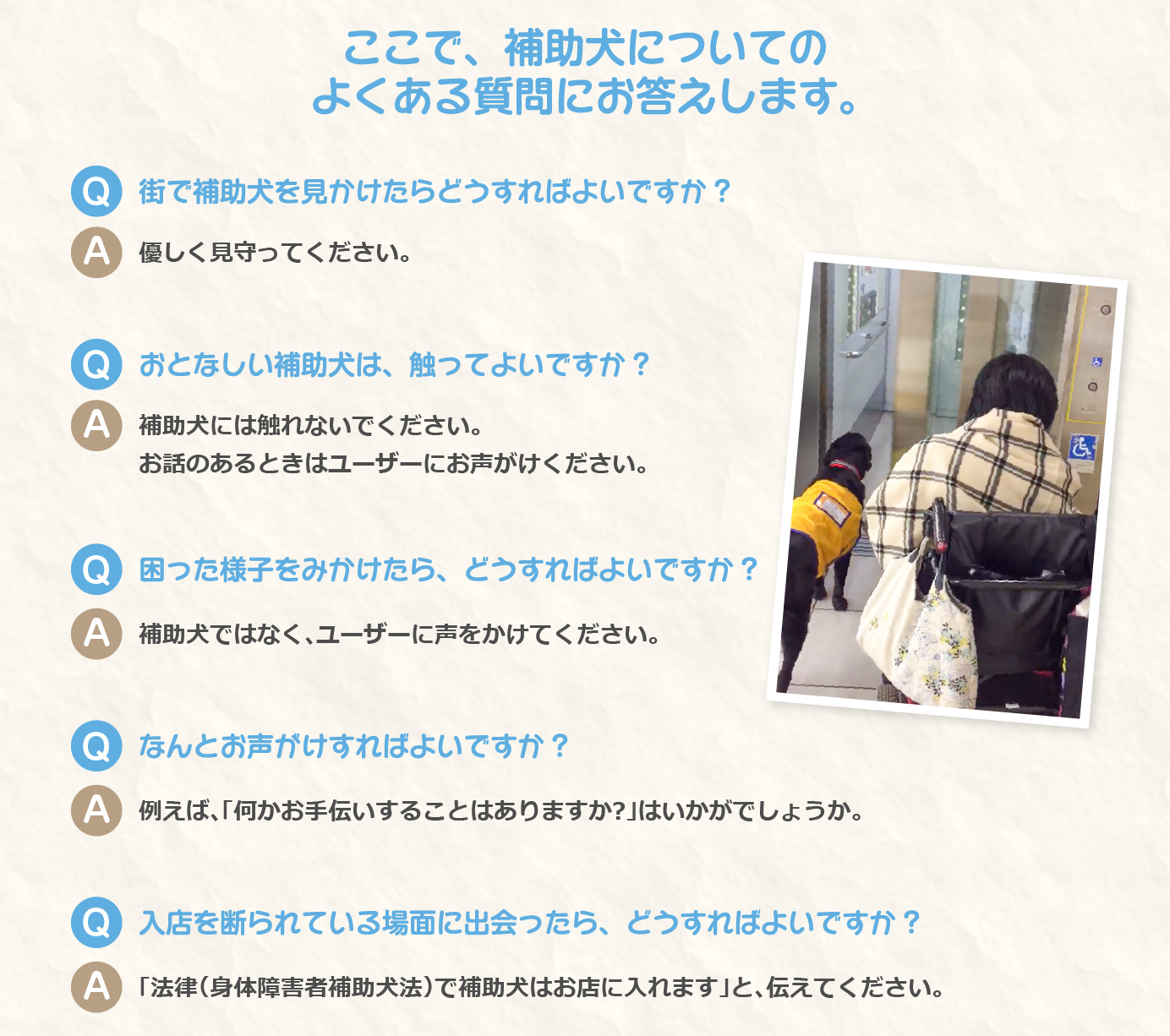 補助犬についてのよくある質問にお答えします。