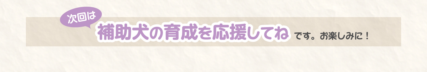 次回は、補助犬の育成を応援してねです。お楽しみに！