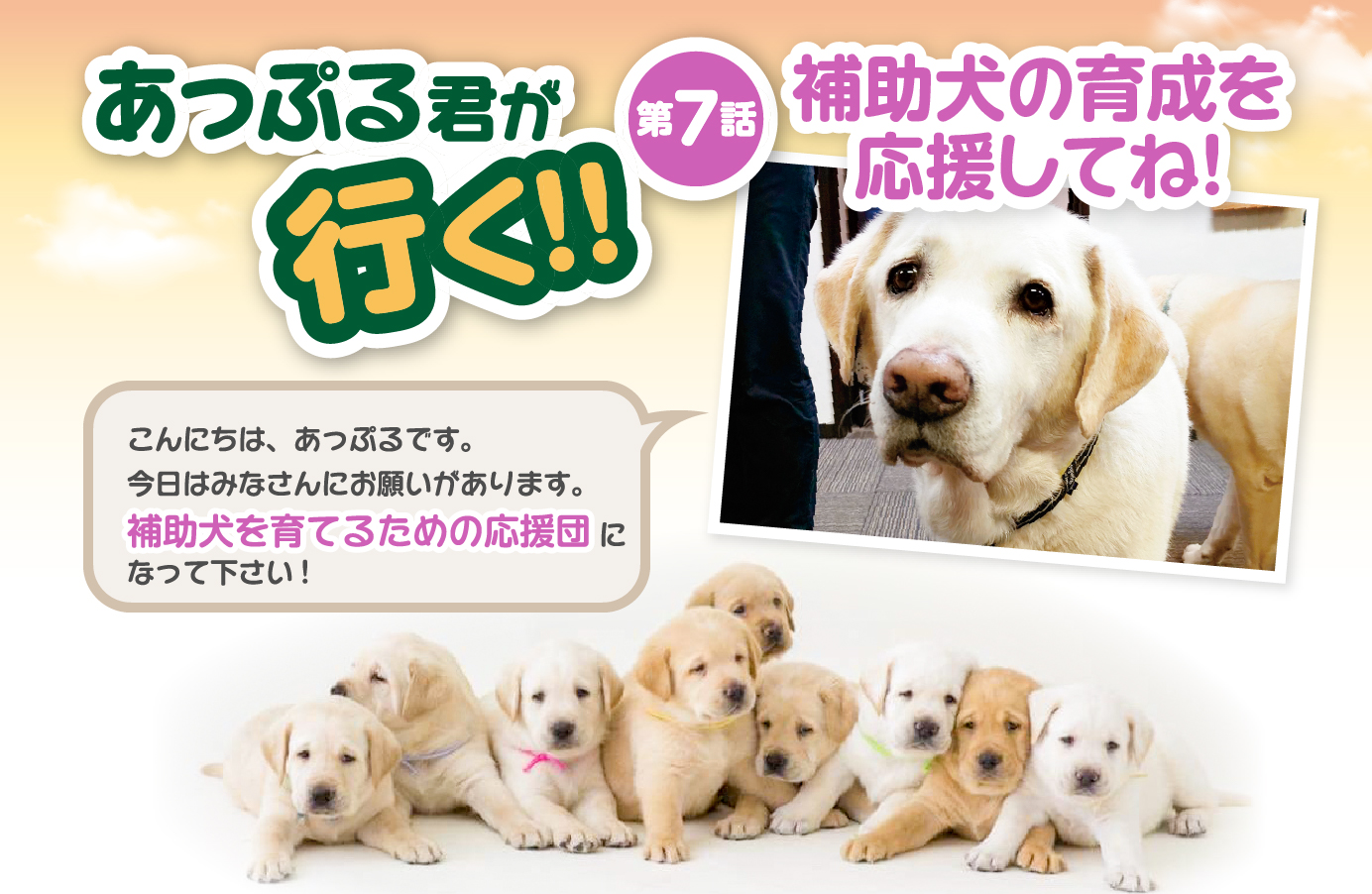 あっぷる君が行く！【第7話】補助犬の育成を応援してね！
