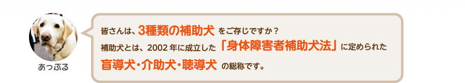 皆さんは、3種類の補助犬をご存じですか？補助犬とは、2002年に成立した「身体障害者補助犬法」に定められた盲導犬・聴導犬・介助犬の総称です。
