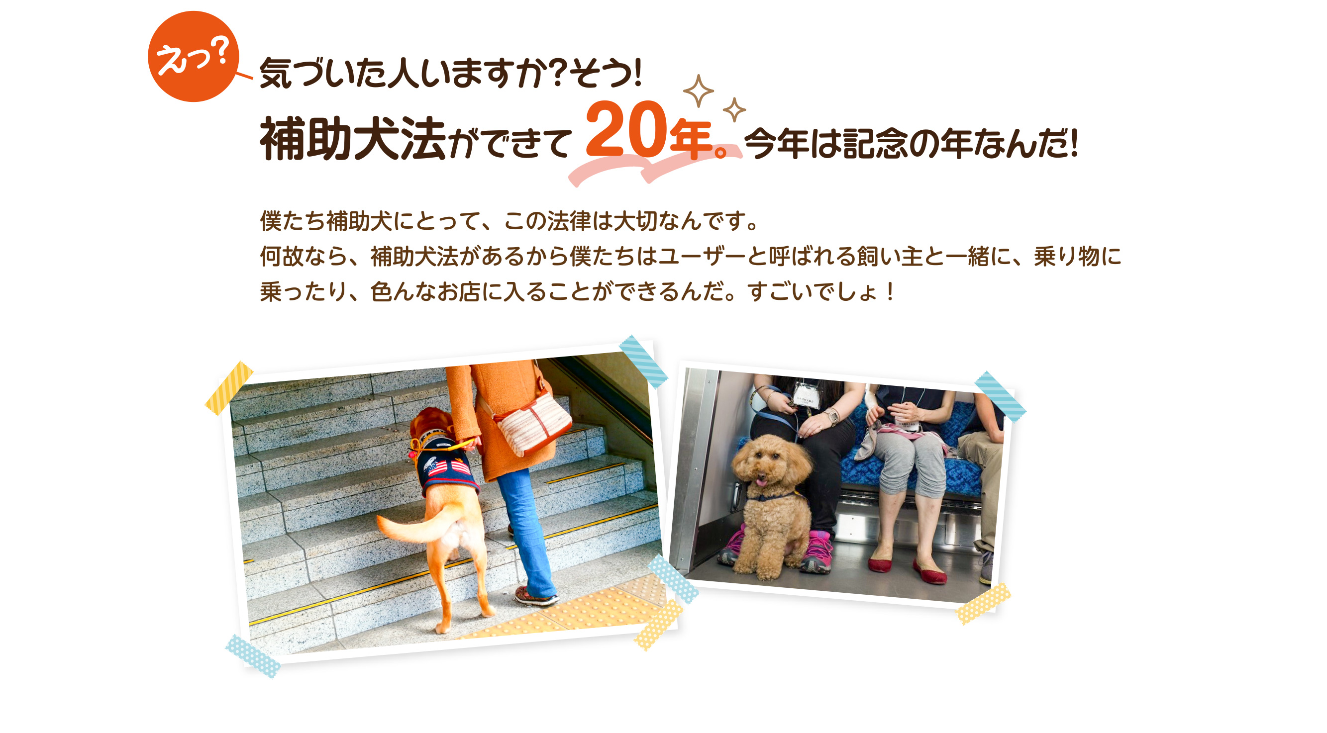 補助犬法ができて20年。今年は記念の年なんだ！