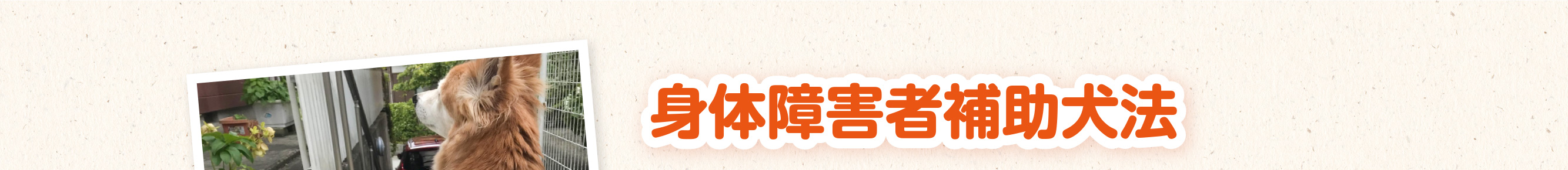身体障害者補助犬法