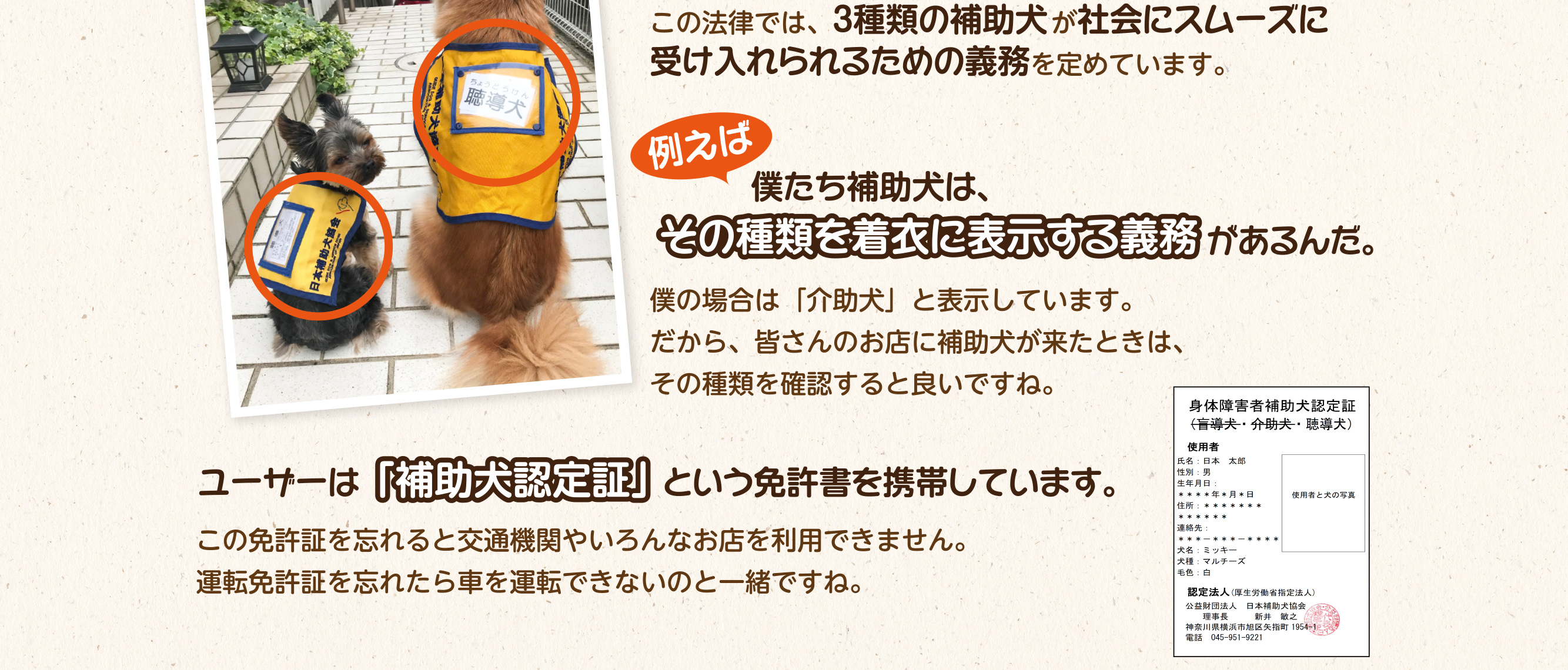 この法律では、3種類の補助犬が社会にスムーズに受け入れたれるための義務を定めています。