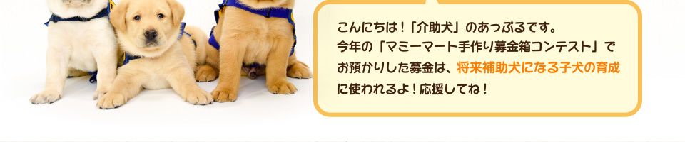 こんにちは!「介助犬」のアップルです。今年の「マミーマート手作り募金箱コンテスト」でお預かりした募金は、将来補助犬になる子犬の育成に使われるよ!応援してね!
