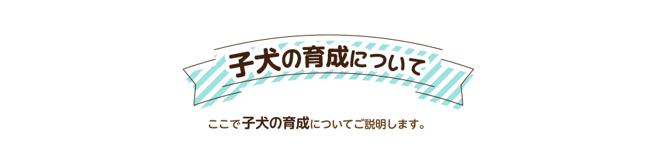 子犬の育成について