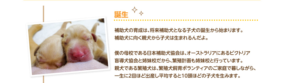 誕生