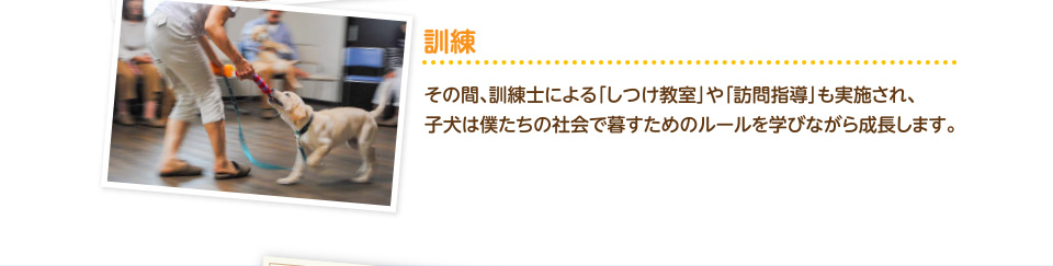 訓練