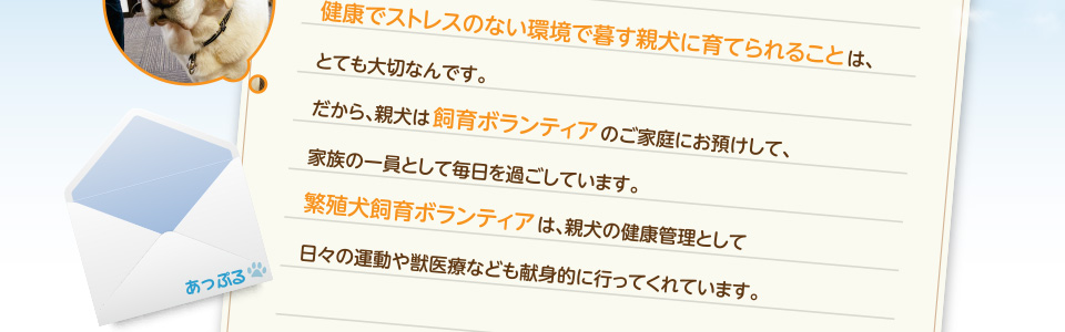 誕生した子犬たちにとって、健康でストレスのない環境で暮す親犬に育てられることは、とても大切なんです。だから、親犬は飼育ボランティアのご家庭にお預けして、家族の一員として毎日を過ごしています。繁殖犬飼育ボランティアは、親犬の健康管理として日々の運動や獣医療なども献身的に行ってくれています。