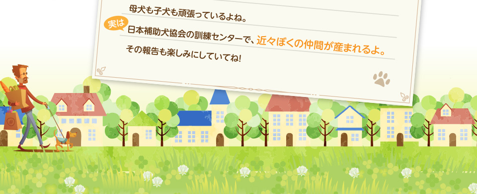 母犬も子犬も頑張っているよね。実は日本補助犬協会の訓練センターで、近くぼくの仲間が産まれるよ。その報告も楽しみにしていてね!