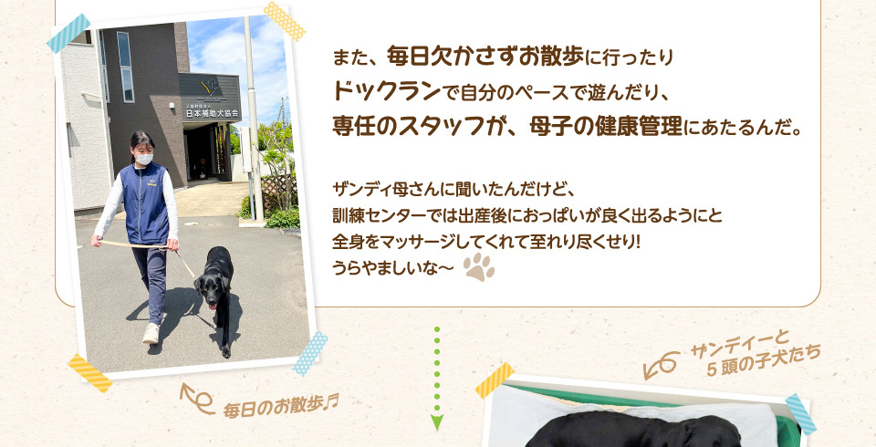 また、毎日欠かさずお散歩に行ったりドックランで自分のペースで遊んだり、専任のスタッフが、母子の健康管理にあたるんだ。