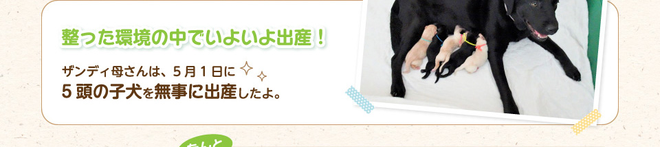 整った環境の中でいよいよ出産！