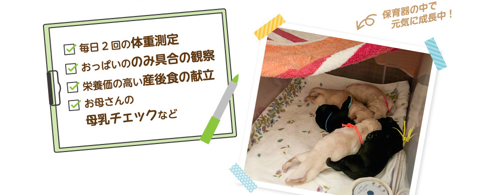 毎日2回の体重測定・おっぱいののみ具合の観察・栄養価の高い産後食の献立・お母さんの母乳チェックなど