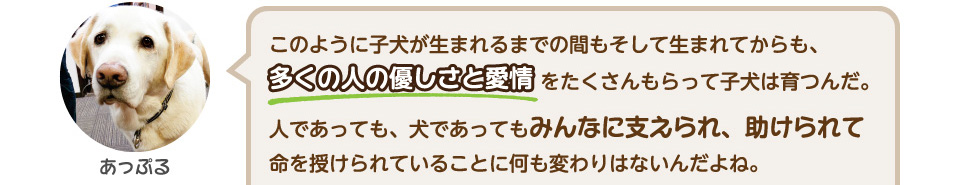 多くの人の優しさと愛情をたくさんもらって子犬は育つんだ。人であっても、犬であってもみんなに支えられ、助けられて命を授けられていることに何も変わりはないんだよね。