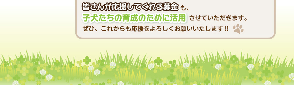 皆さんが応援してくれる募金も、子犬たちの育成のために活用させていただきます。ぜひ、これからも応援をよろしくお願いいたします！！