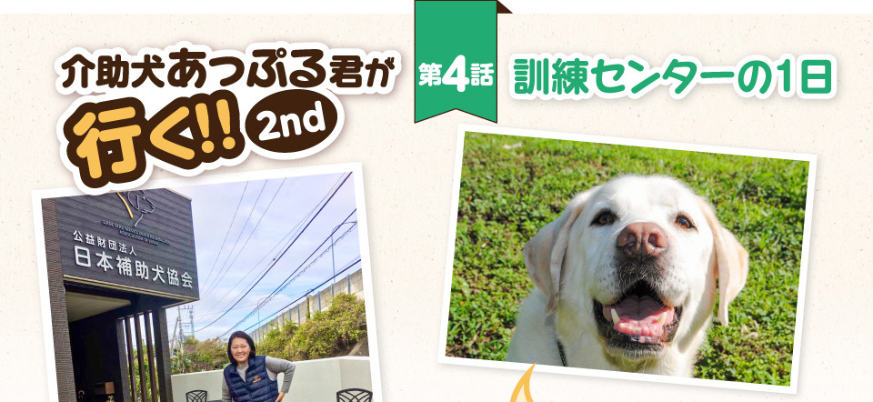 【介助犬あっぷる君が行く！2nd】第4話 訓練センターの1日