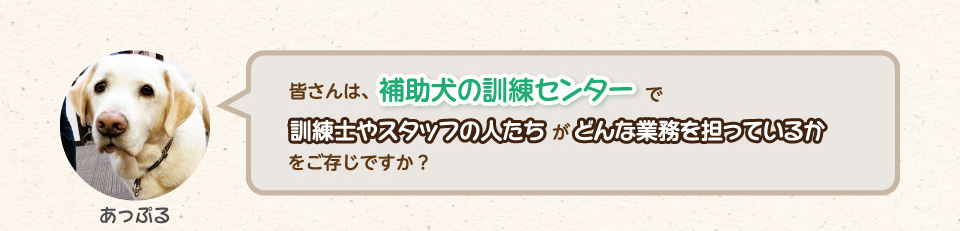 皆さんは、補助犬の訓練センターで、訓練士やスタッフの人たちがどんな業務を担っているかをご存じですか?
