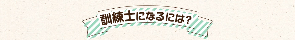 訓練士になるには
