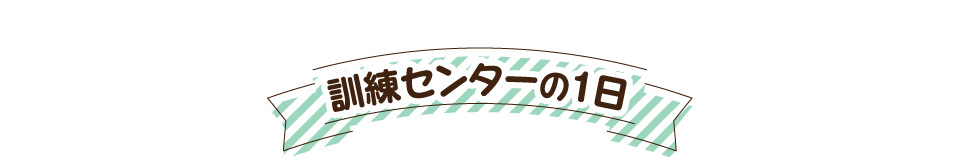 訓練センターの1日