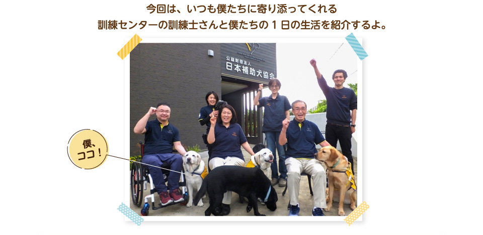 今回は、いつも僕たちに寄り添ってくれる訓練センターの訓練士さんと僕たちの1日の生活を紹介するよ。