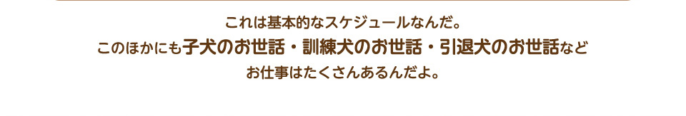 これは基本的なスケジュールなんだ。このほかにも子犬のお世話・訓練犬のお世話・引退犬のお世話などお仕事はたくさんあるんだよ。