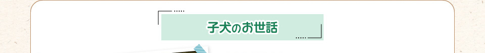 子犬のお世話