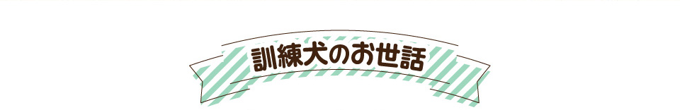 訓練犬のお世話