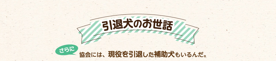 引退犬のお世話