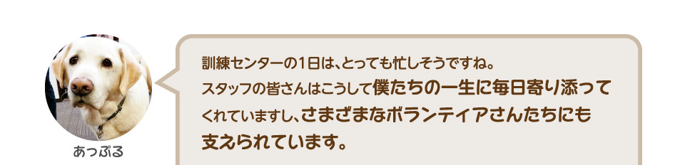 訓練所の1日は、とっても忙しそうですね。スタッフの皆さんはこうして僕たちの一生に毎日寄り添ってくれていますし、さまざまなボランティアさんたちにも支えられています。