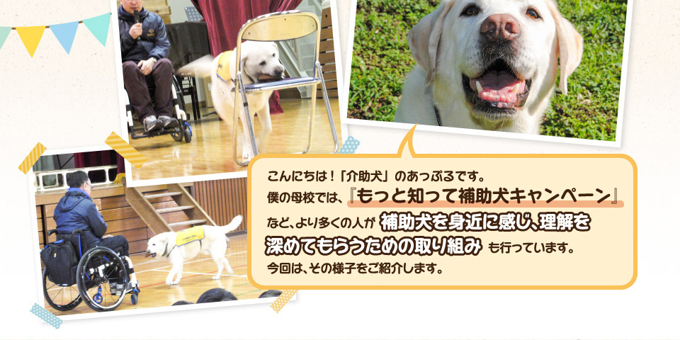 こんにちは!「介助犬」のアップルです。 僕の母校では、「もっと知って補助犬キャンペーン」など、より多くの人が補助犬を身近に感じ、理解を深めてもらうための取り組みも行っています。今回は、その様子をご紹介します。