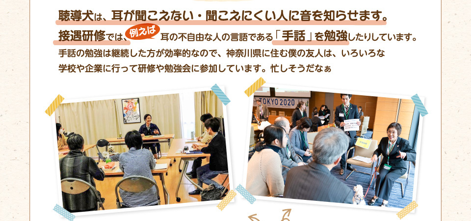 聴導犬は、耳が聞こえない・聞こえにくい人に音を知らせます。接遇研修では、例えば耳の不自由な人の言語である「手話」を勉強したりしています。手話の勉強は継続した方が効率的なので、神奈川県に住む僕の友人は、いろいろな学校や企業に行って研修や勉強会に参加しています。忙しそうだなぁ