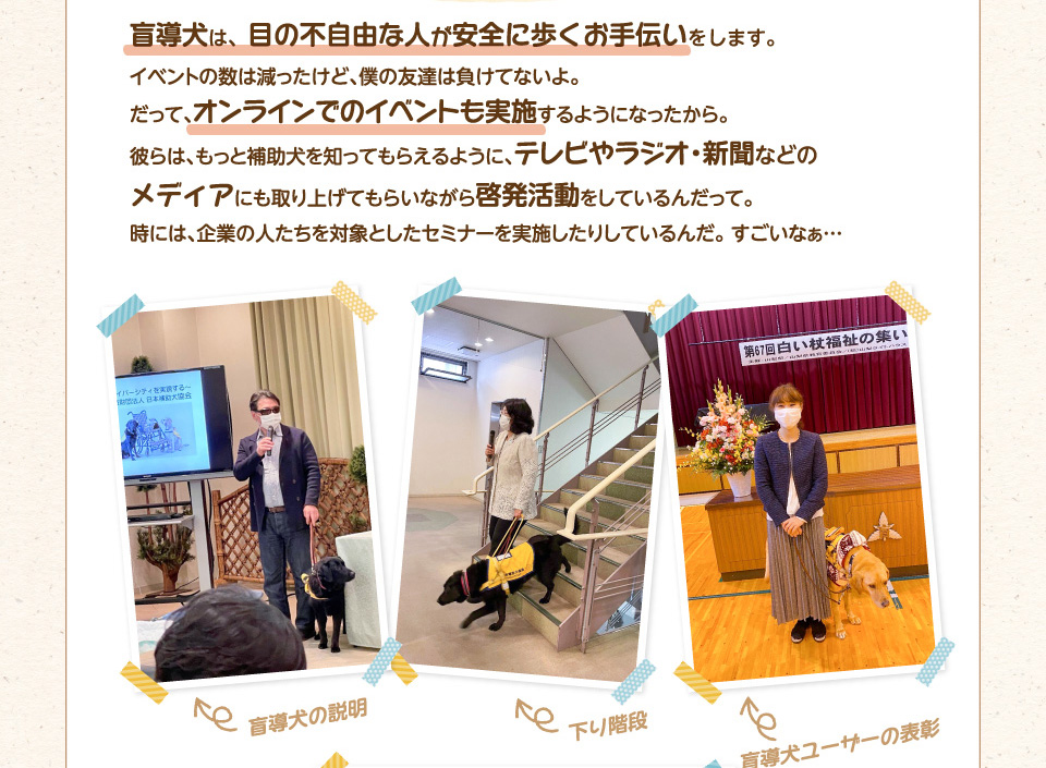 盲導犬は、目の不自由な人が安全に歩くお手伝いをします。イベントの数は減ったけど、僕の友達は負けてないよ。だって、オンラインでのイベントも実施するようになったから。彼らは、もっと補助犬を知ってもらえるように、テレビやラジオ・新聞などのメディアにも取り上げてもらいながら啓発活動をしているんだって。時には、企業の人たちを対象としたセミナーを実施したりしているんだ。すごいなぁ…