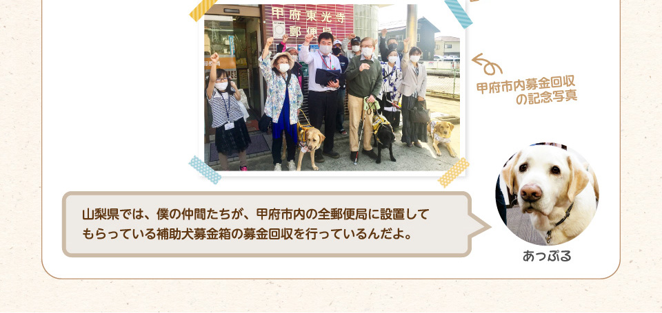 山梨県では、僕の仲間たちが、甲府市内の全郵便局に設置してもらっている補助犬募金箱の募金回収を行っているんだよ。