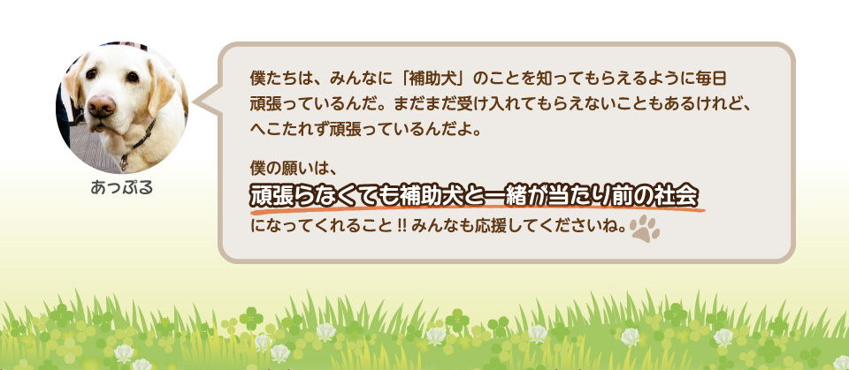僕たちは、みんなに「補助犬」のことを知ってもらえるように毎日頑張っているんだ。まだまだ受け入れてもらえないこともあるけれど、へこたれず頑張っているんだよ。僕の願いは、頑張らなくても補助犬と一緒が当たり前の社会になってくれること!!みんなも応援してくださいね。