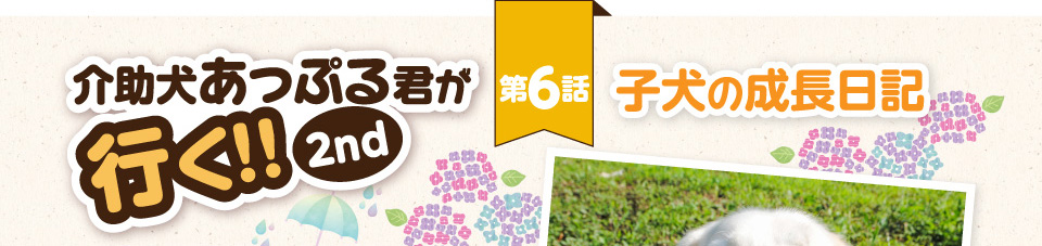【介助犬あっぷる君が行く！2nd】第6話 子犬の成長日記